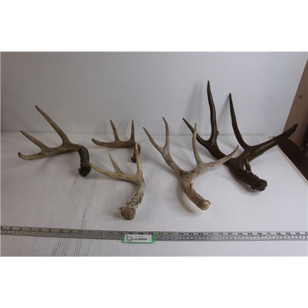 (5) Deer Sheds with Crate