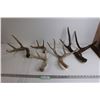 Image 1 : (5) Deer Sheds with Crate