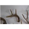 Image 3 : (5) Deer Sheds with Crate