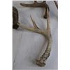 Image 4 : (5) Deer Sheds with Crate