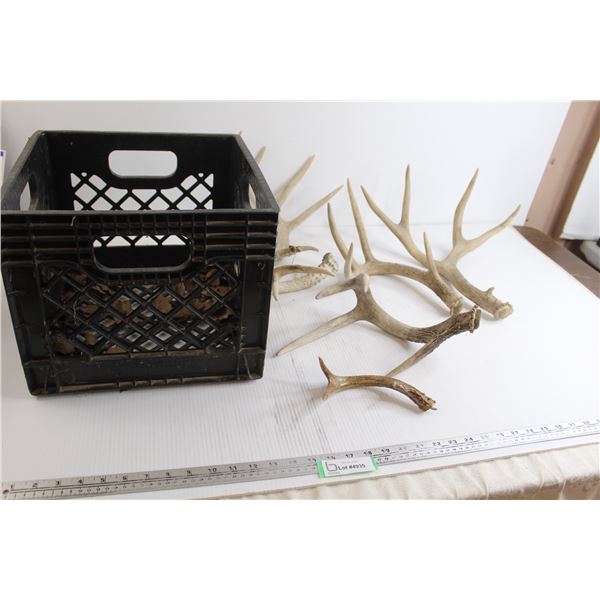 (5) Deer Sheds with Crate