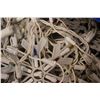 Image 4 : * Box of Christmas Lights - 50ft Worth