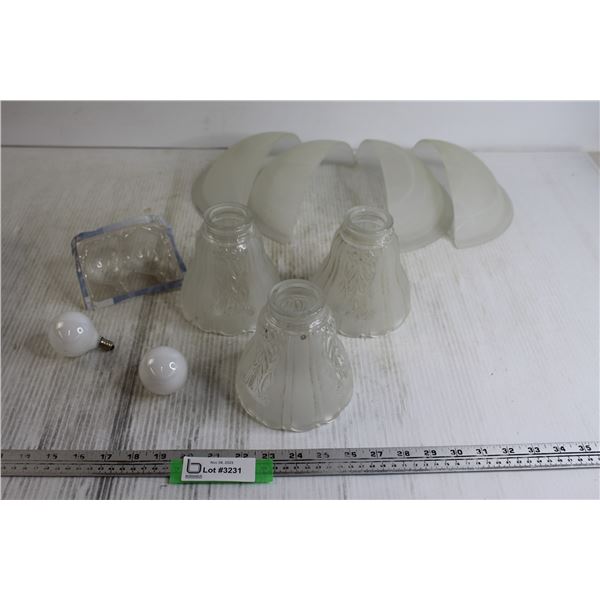 (2) Small Lightbulbs, (3) Glass Shades, (4) Wall Light Shades