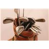 Image 3 : * (12) Golf Clubs, Cooper Bag