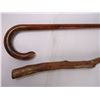 Image 3 : (2) Walking Sticks