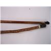 Image 4 : (2) Walking Sticks