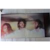 Image 3 : (3) Vinyl Records - Carpenters, Bee Gees. Ventures