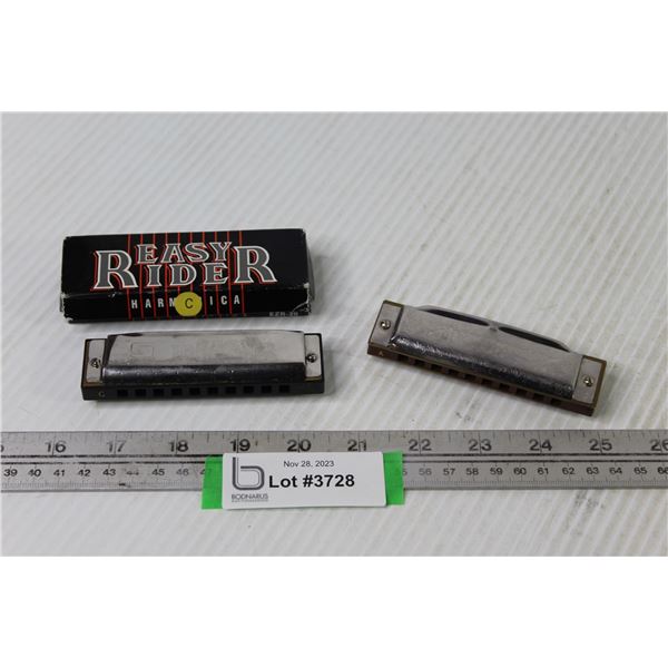 Easy Rider Harmonica in Original Case - Folk Master Harmonica