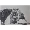 Image 5 : Print - "No Bull Allowed"