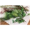 Image 2 : * Lot of Festive Greenery