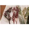 Image 4 : * Lot of Festive Greenery