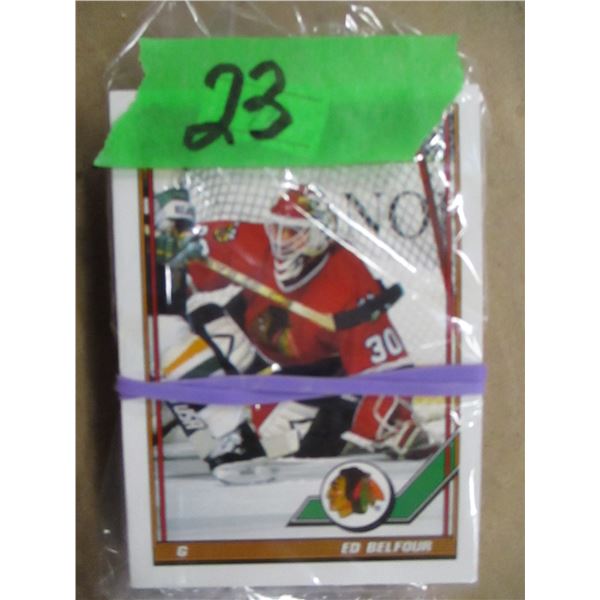 COLLECTIBLE:  30 - 1991 TOPPS HOCKEY CARDS