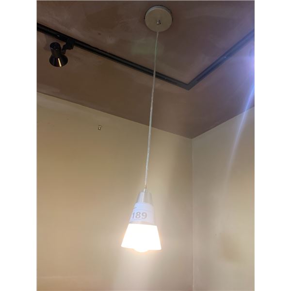 APPROX. 20 STAINLESS STEEL / GLASS SINGLE HANGING LIGHTING PENDANTS