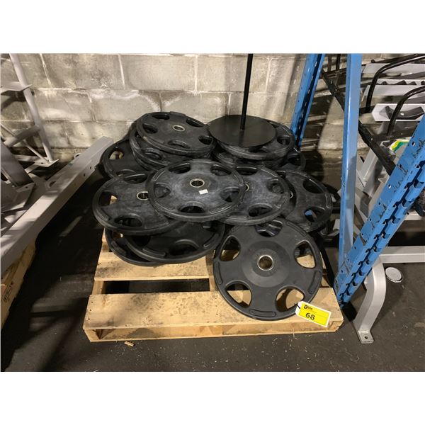 LOT OF APPROX. 16 COMMERCIAL HAMPTON 45LB FREE WEIGHTS