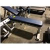 Image 2 : FLEX FITNESS COMMERCIAL BLUE FLAT BENCH