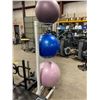 Image 2 : WHITE 3 STATION COMMERCIAL METAL EXERCISE BALL RACK WITH 3 VARIOUS SIZE COMMERCIAL EXERCISE BALLS