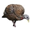 Image 1 : AVIAN-X LCD FEEDER HEN TKY DECOY