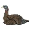 Image 1 : AVIAN-X LCD LAYDOWN HEN TKY DECOY
