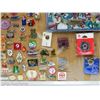 Image 8 : ESTATE PIN COLLECTION DISPLAY