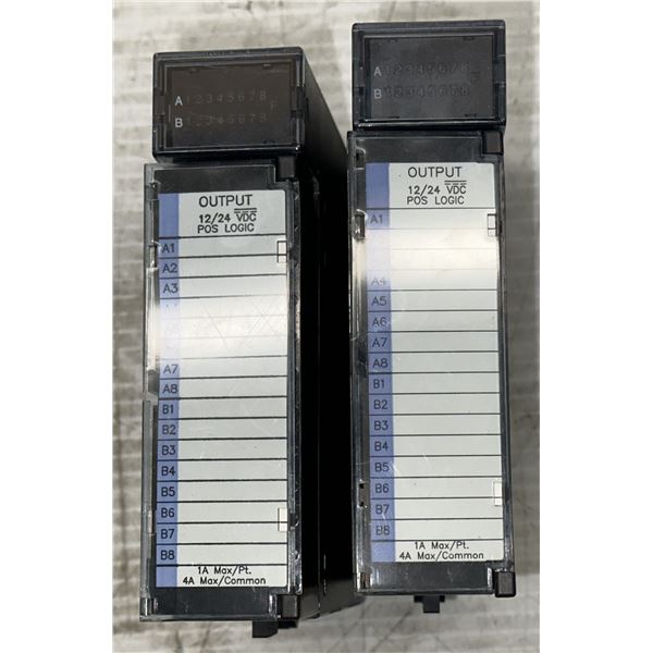 Lot of (2) GE Fanuc #IC693MDL742E Output Modules