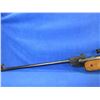 Image 4 : No PAL Required - Winchester Model 500X in 177 Cal.