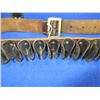Image 2 : Vintage 16 Gauge Ammo Belt with Metal Shotshell Holders