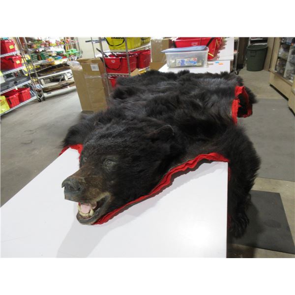 Black Bear Skin Rug - Nose to Tail 5', Across Shoulders 5'