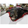 Image 2 : Black Bear Skin Rug - Nose to Tail 5', Across Shoulders 5'