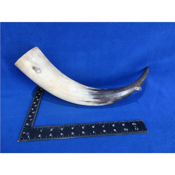 Horn - Cleaned and Ready to be Built into a Powder Horn