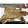 Image 1 : Brown Bear Skin Rug - Nose to Tail 47"
