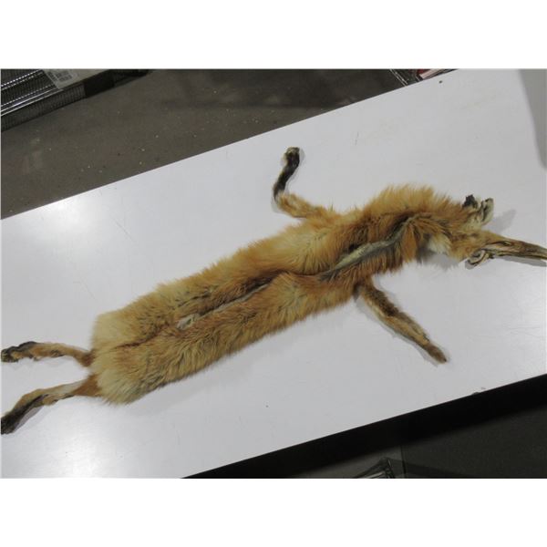 Fox Fur - Nose to Tail 38"