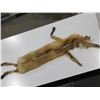 Image 1 : Fox Fur - Nose to Tail 38"