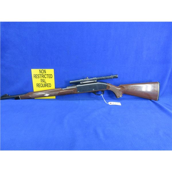Non-Restricted - Remington Model Nylon 66 in 22 LR