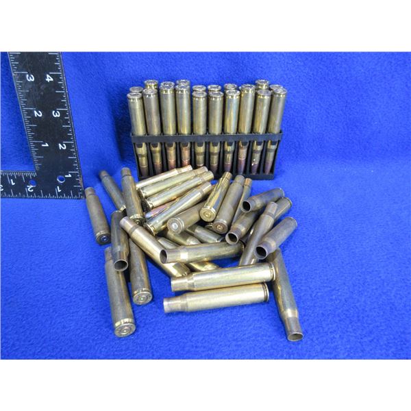 30-06 Sprg Possible Reloads - Bag of 21 + 29 Brass
