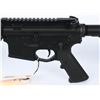 Image 11 : NEW Palmetto Government M16A2 Rifle