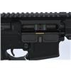 Image 6 : NEW Palmetto Government M16A2 Rifle