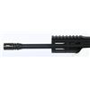 Image 9 : NEW Palmetto Government M16A2 Rifle