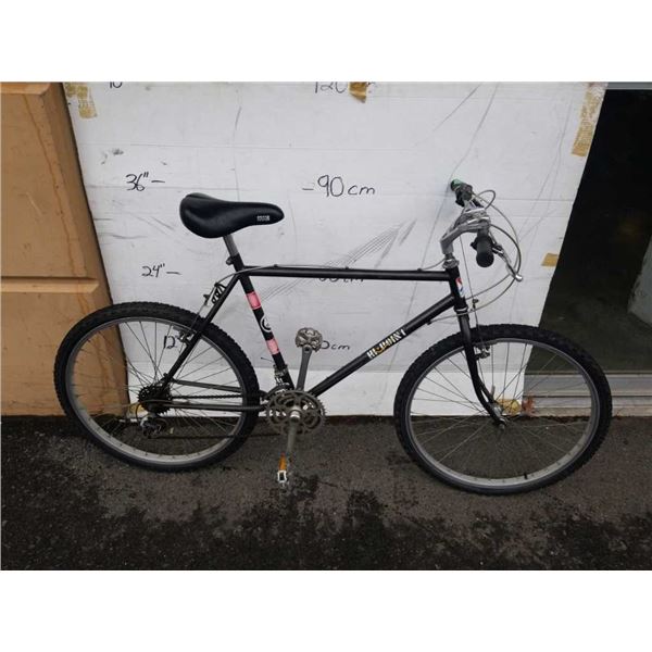 BLACK HI POINT BIKE