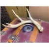 Image 5 : Red Resin Horse Sculpture, Antler, Blue Geode Crystal & Wood Tripod Bowl Holder