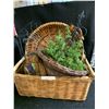 Image 4 : Wicker Baskets & Hanging Plant Stands