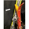 Image 2 : Downhill Fischer Parabolic Skis, Antique Alpina Ace Downhill Skis