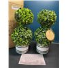 Image 2 : Lot of 1 Box of Barnyard Designs Mini 12.5inch Topiary Artifical Plants - 2 in Box