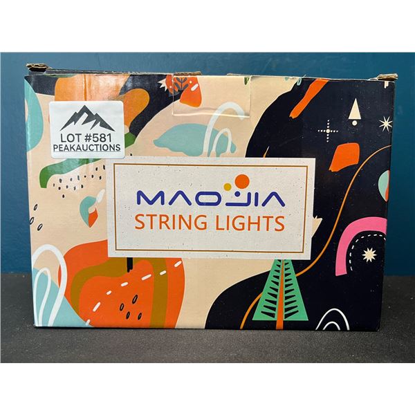 Lot of 1 Box of Icicle String Lights Length 20m/30m