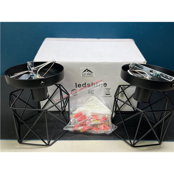 Lot of 1 Box of LED SHINE Deco Lights