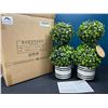 Image 1 : Lot of 1 Box of Barnyard Designs Mini 12.5inch Topiary Artifical Plants - 2 in Box