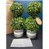 Image 2 : Lot of 1 Box of Barnyard Designs Mini 12.5inch Topiary Artifical Plants - 2 in Box
