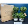 Image 1 : Lot of 1 Box of Barnyard Designs Mini 12.5inch Topiary Artifical Plants - 2 in Box