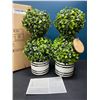 Image 2 : Lot of 1 Box of Barnyard Designs Mini 12.5inch Topiary Artifical Plants - 2 in Box
