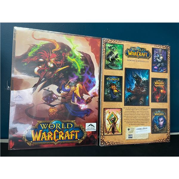 Lot of 2 World of WarCraft Poster Books