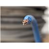 Image 2 : BOBINE DE FIL #8 AWG BLEU